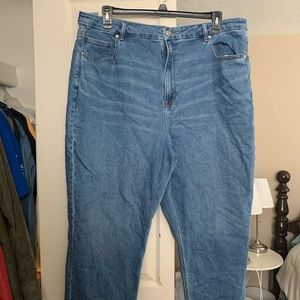 American Eagle Plus Size Mom Jeans